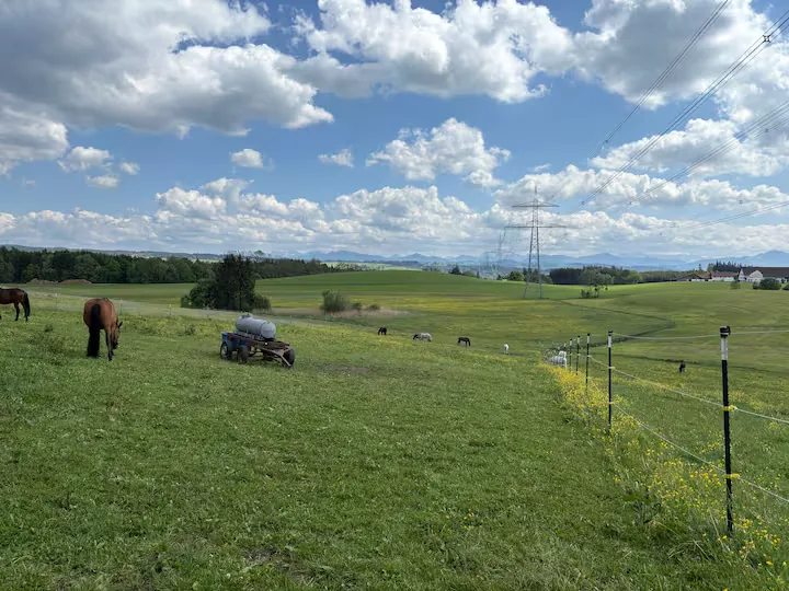 Ferienwohnung im Allgäu – gemütlicher Innenraum am Leonhardshof Albrecht in Sommers bei Kempten
