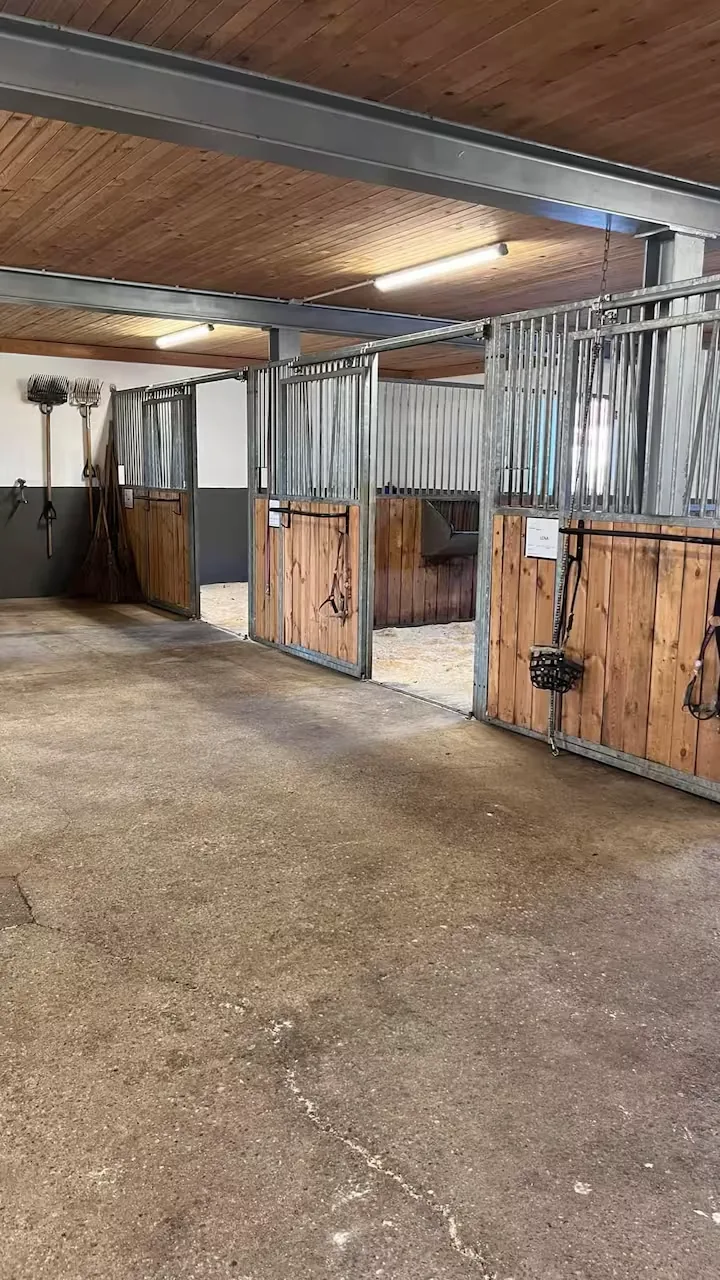 Reiterhof Allgäu – Hofansicht und Reitanlage am Leonhardshof Albrecht