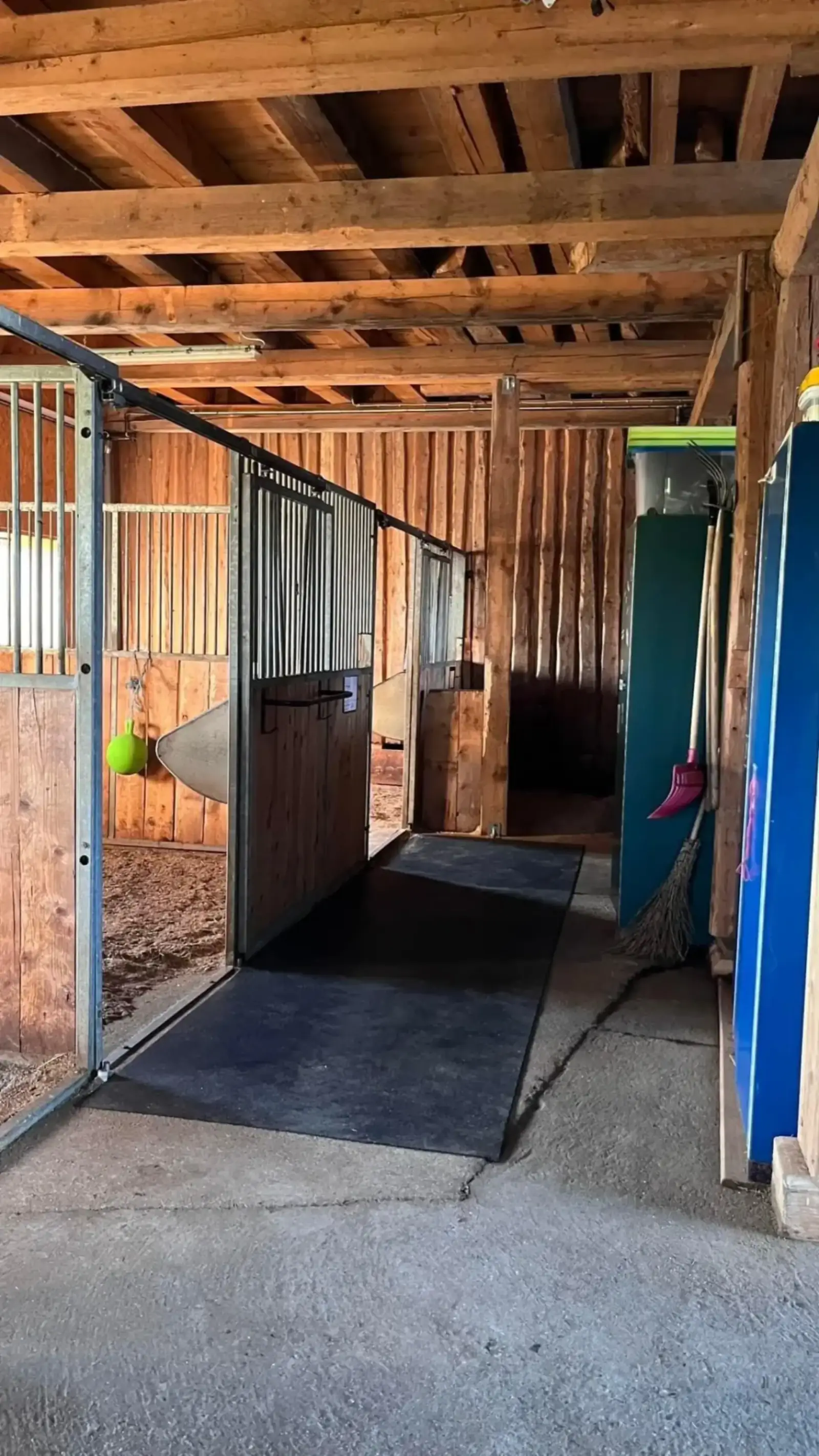 Reiterhof Allgäu – Hofansicht und Reitanlage am Leonhardshof Albrecht