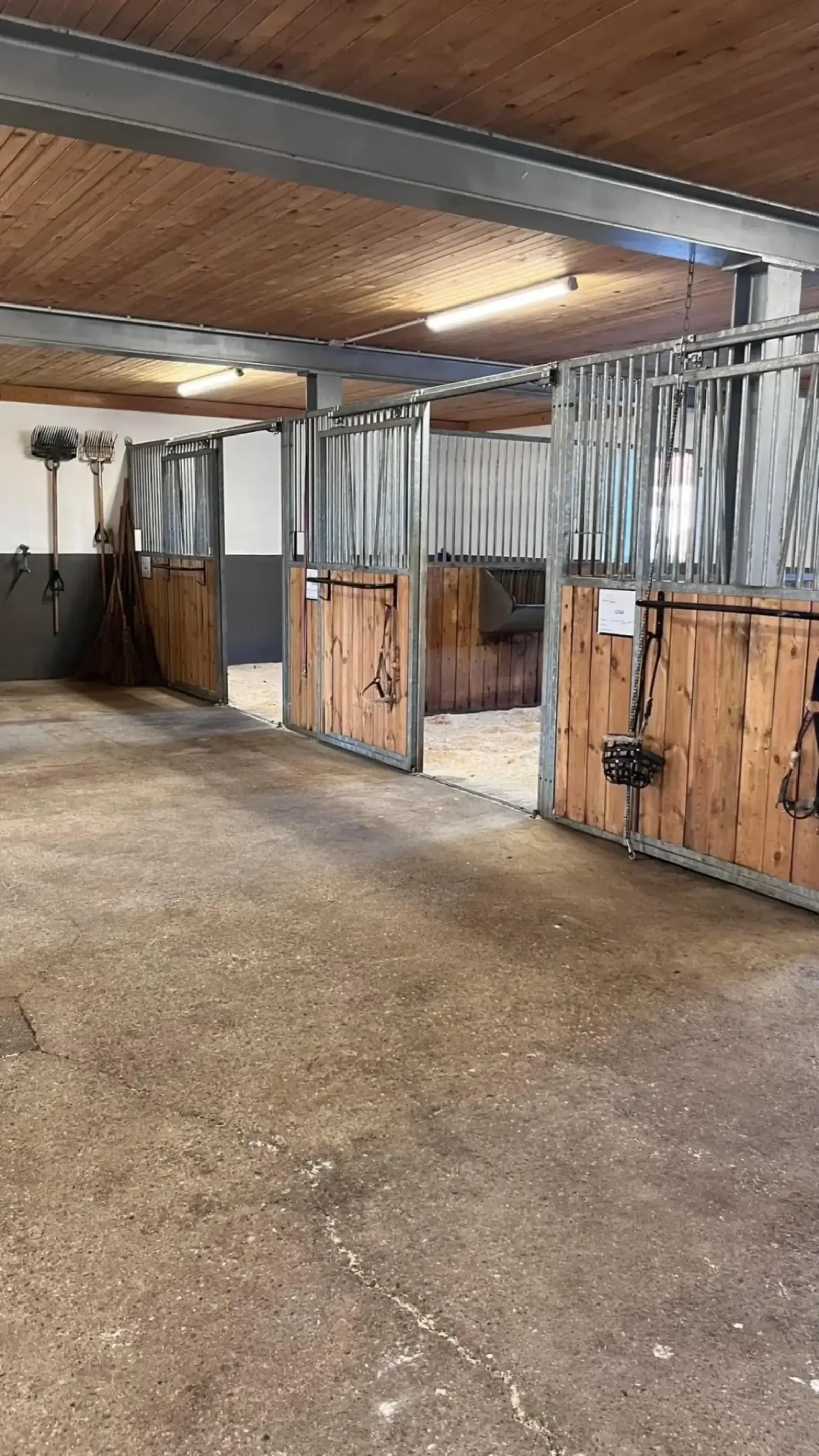 Reiterhof Allgäu – Hofansicht und Reitanlage am Leonhardshof Albrecht