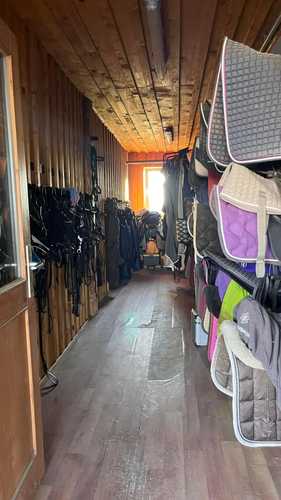 Pferdepension Allgäu – moderne Pferdeboxen und Stallungen am Leonhardshof Albrecht