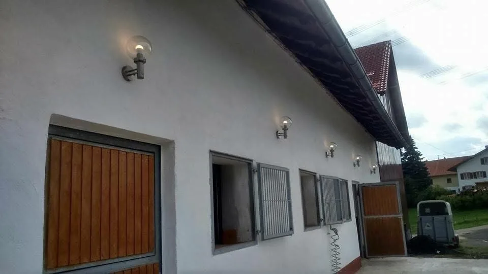 Pferde am Leonhardshof – artgerechte Haltung mit Weidegang im Allgäu